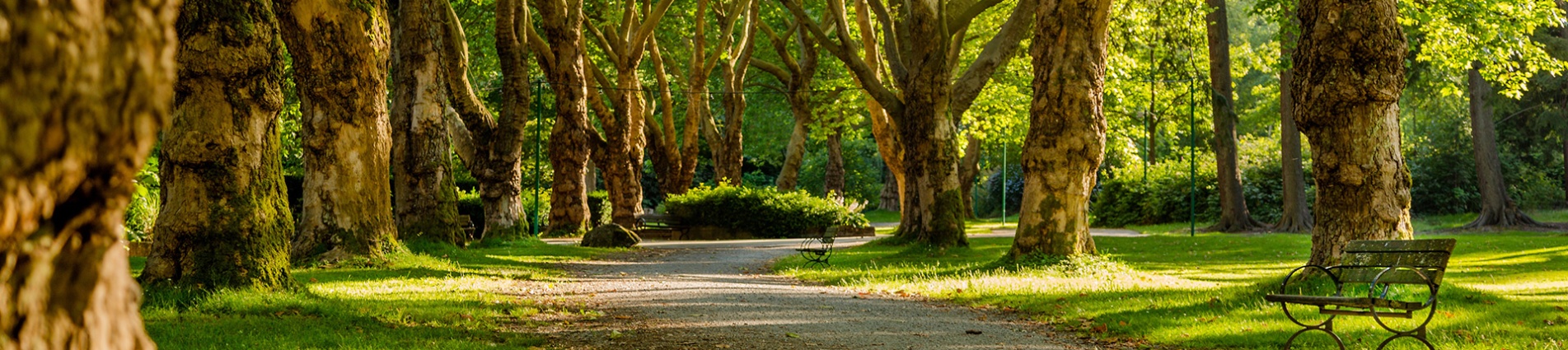 Spazio verde Spazio verde