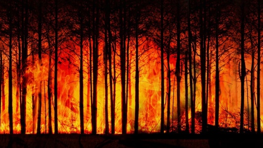 Pericolo incendi Pericolo incendi
