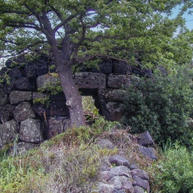 Vista frontale Vista frontale