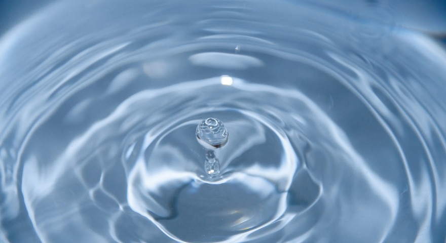 acqua acqua